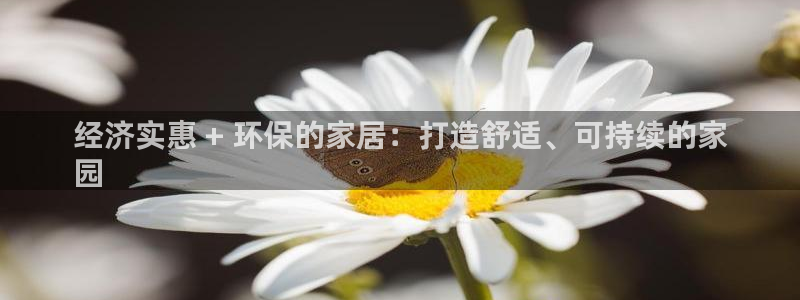 杏耀注册主管：经济实惠 + 环保的家居：打造舒适、可持续的家