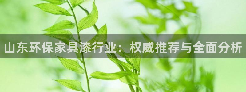 杏耀是什么平台：山东环保家具漆行业：权威推荐与全面分析