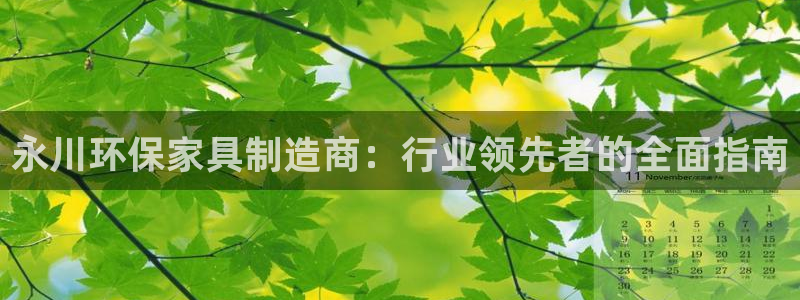 杏耀平台手机：永川环保家具制造商：行业领先者的全面指南